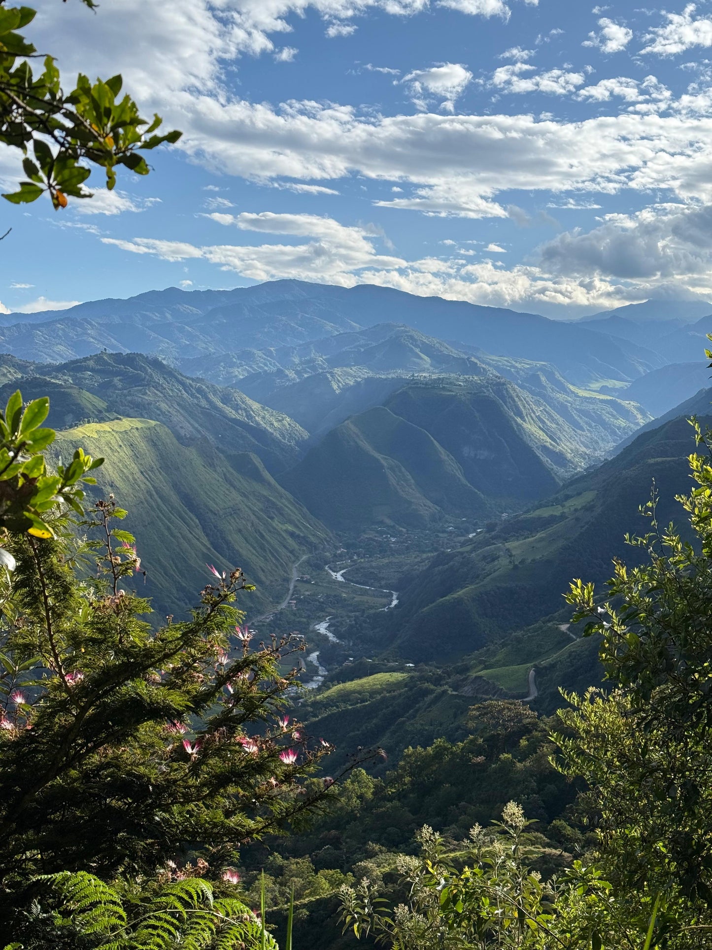 Ecuador Finca La Soledad, Typica Mejorado, TyOxy Washed