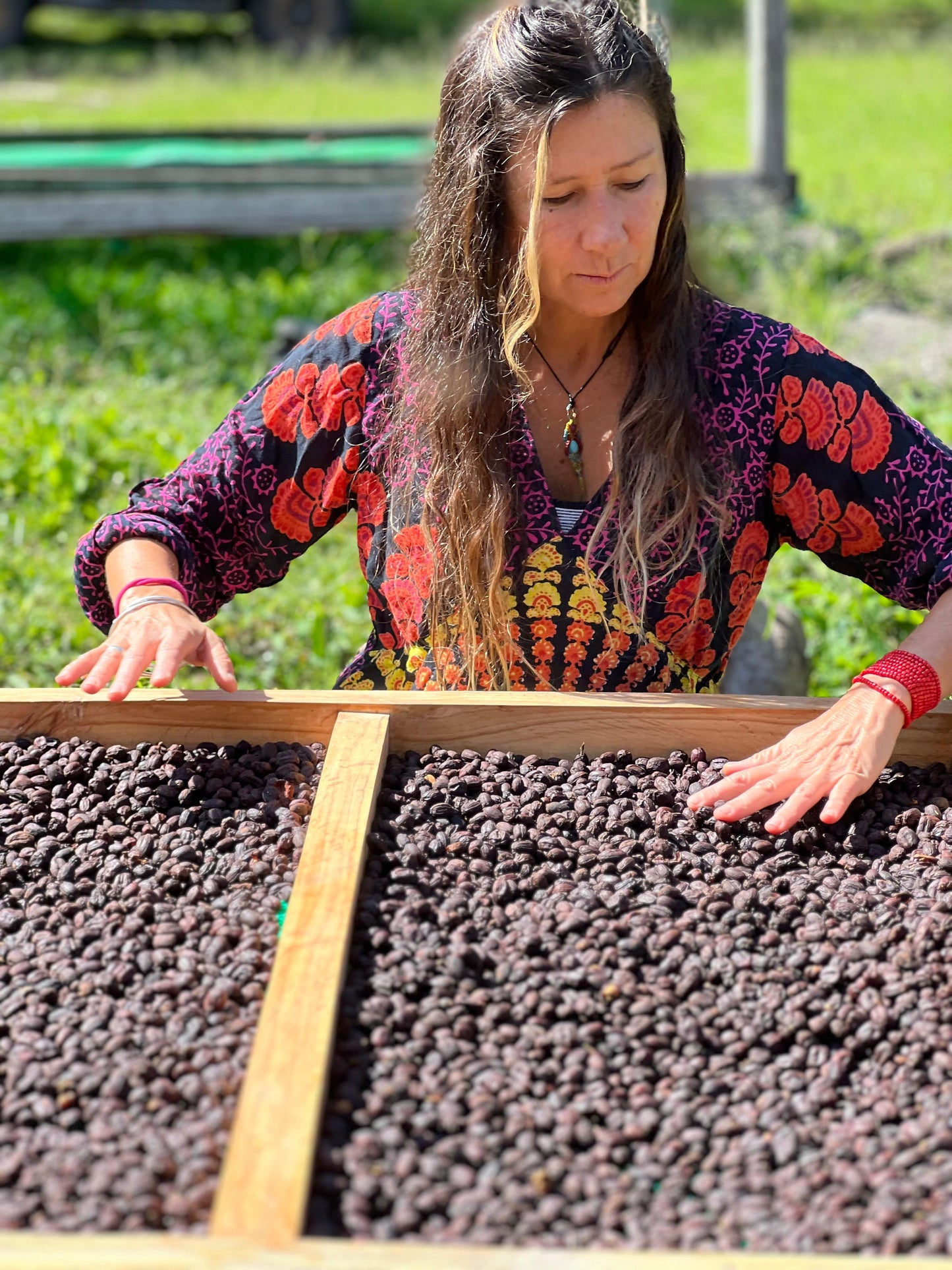 Ecuador Fincas Del Putushio, Typica Mejorado, Fully Washed