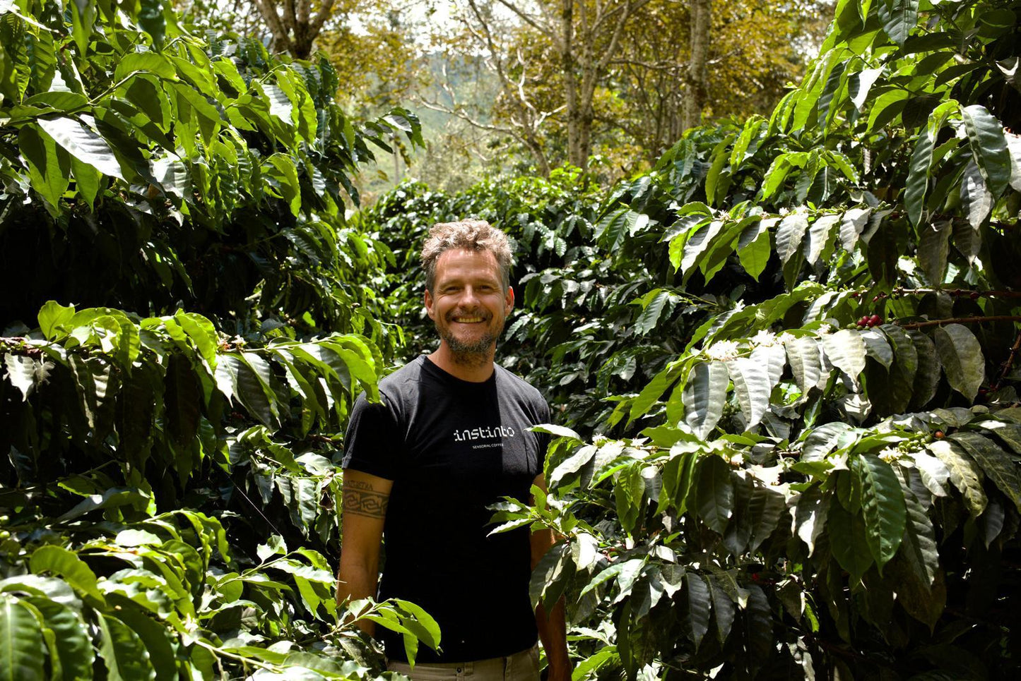 Ecuador Finca La Soledad, Typica Mejorado, TyOxy Washed