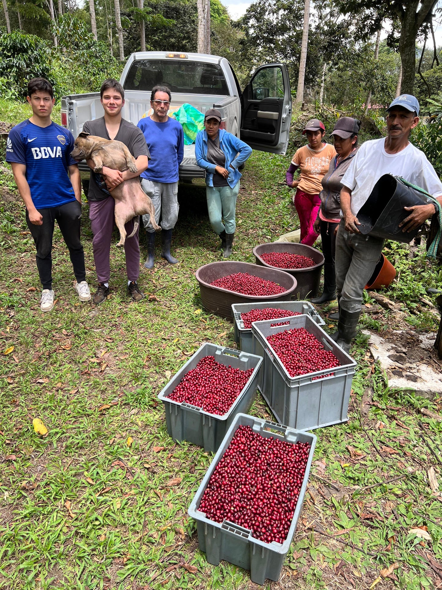 Ecuador Fincas Del Putushio, Typica Mejorado, Fully Washed