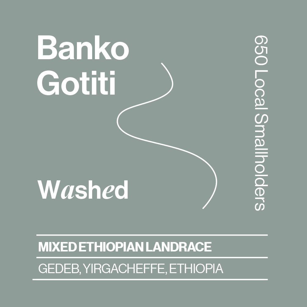 Ethiopia Banko Gotiti, Washed