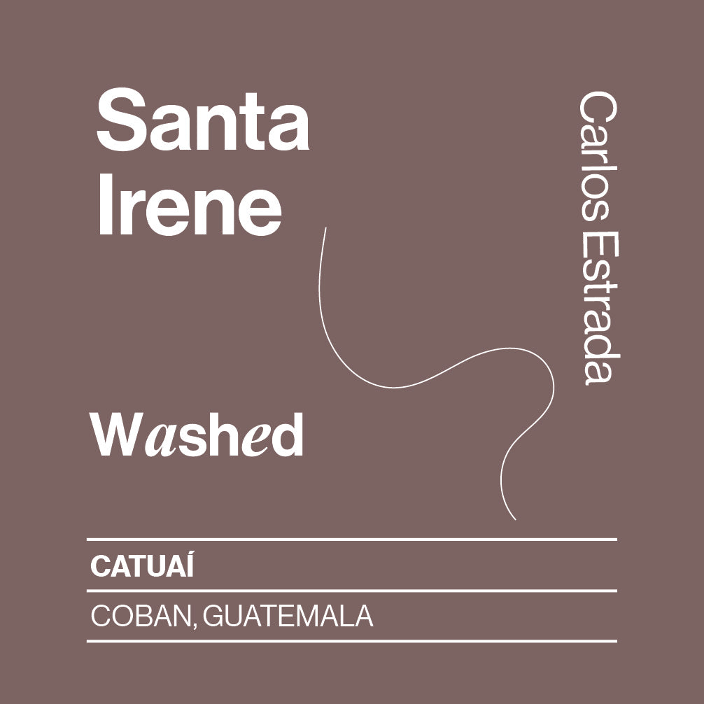 Guatemala, Santa Irene, Catuai Washed
