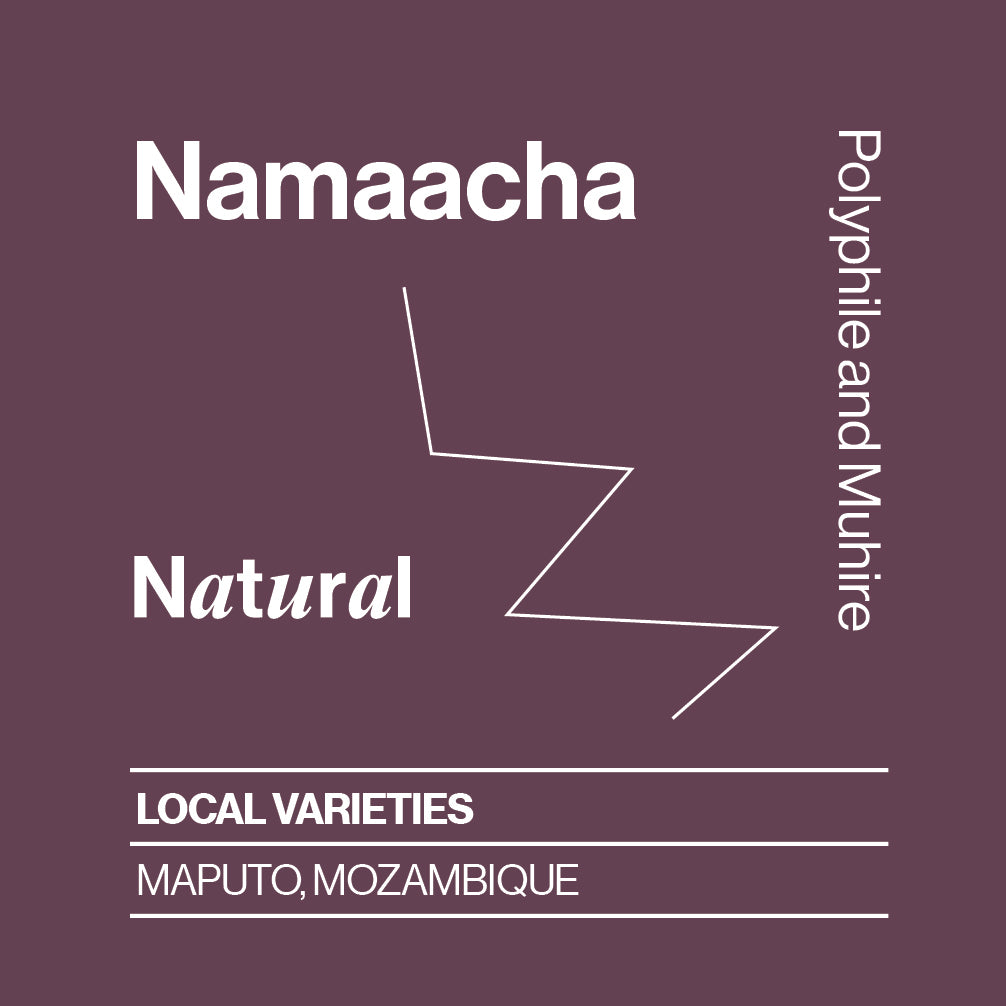 Mozambique, Namaacha, Local varieties, Natural