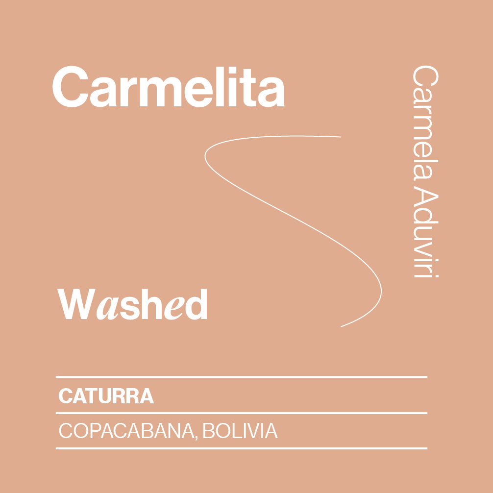 Bolivia La Carmelita, Caturra, Washed