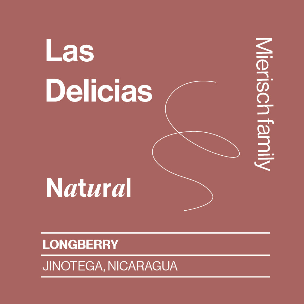 Nicaragua, Las Delicias, Longberry, Natural