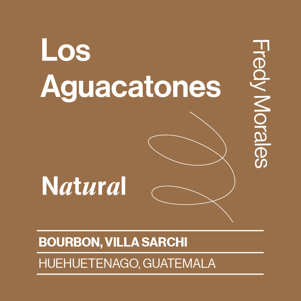 Guatemala, Los Aguacatones, Natural, Bourbon & Villa Sarchi